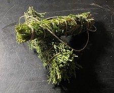 Eastern Red Juniper Bundle picture