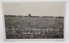 Crowd at The Ball Ground July 4th 1917 Tolstoy South Dakota Antique RPPC picture