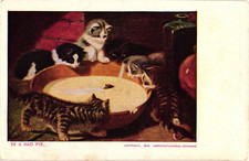 Kittens Looking at Mouse Swimming in Basin IN A BAD FIX Antique c1906 Postcard picture