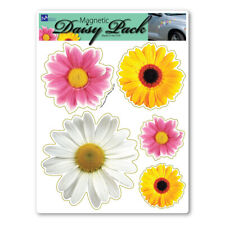 Daisy Flower Pack Magnet picture
