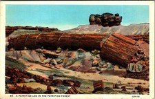 1930 Petrified Forest AZ Petrified Log Postcard Curt Teich American Art picture