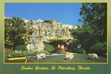 St Petersburg Florida Sunken Gardens Vintage Continental Postcard Unposted picture