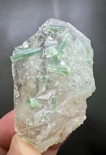 58g Natural Blue Green Tourmaline Crystal Bunch on Quartz - Afghan Specimen picture