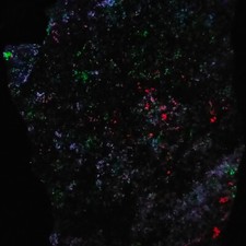 Fluorite var Chlorophane Willemite Apatite fluorescent Franklin minerals 0.26kg picture
