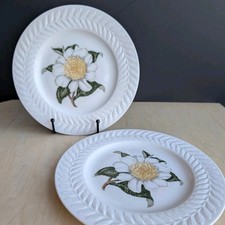 Set of 2 Theodore Haviland New York Regents Park Camellia Salad Plates 8
