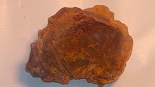 RARE Trent Agate Sagenite Spray Polished Face 37g Pre-1980 Old Stock Oregon Gem picture