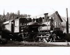 8 x 10 Photo: Northern Redwood Lumber # 22 Korbel CA 3/15/1939 picture