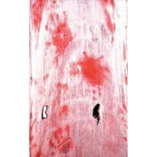 Haunted House Morgue--BLOODY CREEPY CLOTH--Halloween Prop Table Door Decoration picture