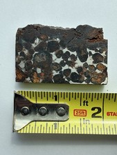 Slice Of Pallasite Brecciated iron-rich rock With Stand picture