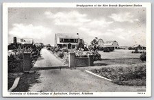 Stuttgart, Arkansas - University College of Agriculture -Rice Branch Postcard S1 picture