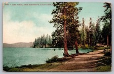1914 Lake Tahoe CA McKinney's Edward H Mitchell Vintage Postcard Posted picture