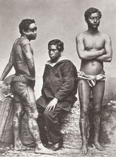 Pacific Islands Samoan Men Traditional Tattoos Portrait Vtg. Photo 19thC. picture