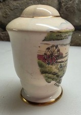 Royal Stafford Bone China Timaru New Zealand Souvenir Pepper Shaker Single picture