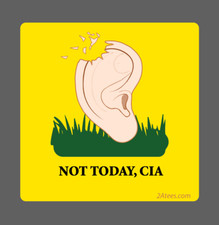 Don't CIA ME - Gadsden inspired decal - funny political meme picture
