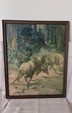 RARE Western Ammunition “The Elk Fight” Vintage Advertisement Poster 1920 picture