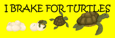 I Brake For Turtles Bumper Sticker Funny Stop for Turtles Critters Animals Decal picture