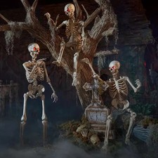 Home Accents 3-Pack 5 Foot LED Ultra Pose-N-Stay Skeleton picture