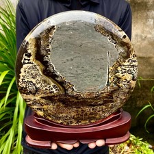 7.16LB Beautiful Natural Chinese Dendritic Limestone Picture Stone Guohua -Rare picture