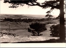 Coastal Landscape View Trees Rolling Hills Hiddensee Real Photo RPPC Postcard picture