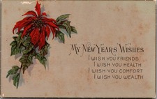 Antique New Year's Wishes Postcard Poinsettia Floral Gartner & Bender 1910s picture