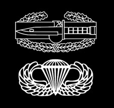 CAB and AIRBORNE WINGS Window Sticker Decal - White picture