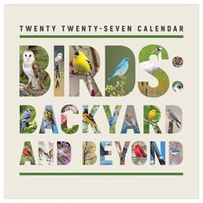 TF Publishing 2027 Backyard Birds Wall Calendar picture