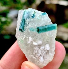 104 Carat Tourmaline Crystal With Quartz Specimen From Afghanistan picture
