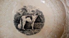 BORZOI DOG PLATE ROYAL CAULDON ENGLAND RIDGEWOOD 12