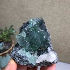 215g NATURAL Green Cubic FLUORITE paragenesis Crystal Cluster Specimen A4777 picture