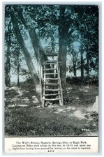 1909 The Wolf's Retreat Scene Magnetic Springs Ohio OH Posted Vintage Postcard picture