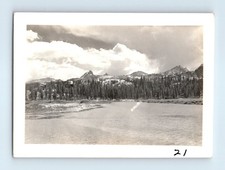 Old Vintage Photo YOSEMITE MOUNTAIN LANDSCAPE ANTIQUE SNAPSHOT PHOTOGRAPH picture