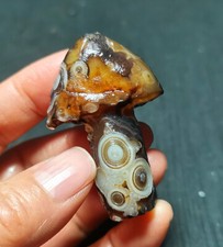 RARE 34G  Natural Gobi Agate Eyes Agate/Mushroom Healing R1513 picture