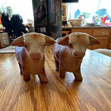 1950s Victoria Ceramics  (Japan) Hereford Bull set S&P Shakers - never used picture