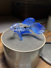 Swarovski Silver Crystal  Siamese Fight Fish Beautiful Blue Austria Nice W/Box picture