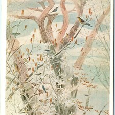 c1910s Japan Art Postcard Hana Kawabe Birds in Forest 4th MEXT Expo Litho picture