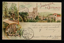 PORTUGAL 271-BUSSACO-Souvenir de Bussaco(1900)Private Mailing Card (c.1898-1907) picture