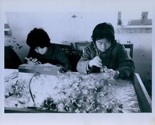 1977 CHINA Women Working Light Bulb Restorers Press Photo  picture