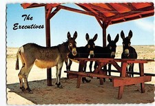 Postcard The Executives picture