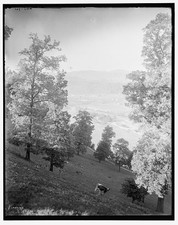 Photo:Asheville North Carolina 1900s Mountain View Hillside Landscape picture