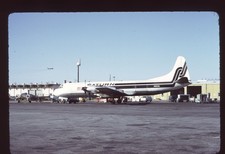 Orig 35mm airline slide Saturn Airways Electra UV c/s N859U picture