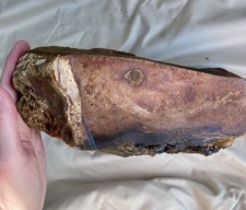 13.1 lb Biggs Picture Jasper Lapidary Rough Cut from Biggs, Oregon picture