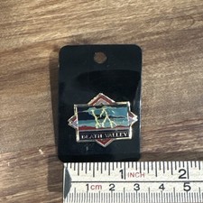 Vintage Death Valley National Park Enamel Lapel Pin Souvenir Collectible NWT picture