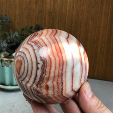 Pork Stone Sphere Natural Red Banded Calcite Crystal Ball Mineral Home Decor7733 picture