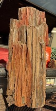 ☘️RR⛏️: Druzy Agate Replaced Arizona Petrified Wood Log, 20” 38lbs 🌈 picture