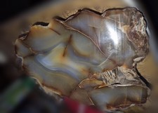 Large Banded Agate Specimen - Beautiful Natural Translucent Layers - 96064 picture