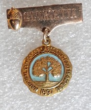 National Congress Parents Teachers Pinback Button 1915 Gold Filled picture