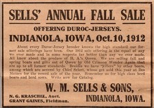 WM Sells & Sons Annual Fall Sale NG Kraschel Indianola IA 1912 Clipping TAJ5-3 picture