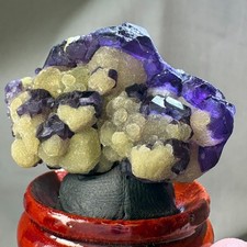 Natural Crystal Phantom Fluorite w/ Mica Cluster on Stand Specimen Raw Mineral picture
