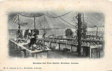 H52/ Hotchkiss Colorado Postcard c1910 Fair Fruit Exhibit Interior Tent 88 picture