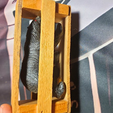 Bear Prop Figurine in Wooden Crate, Captures Bear 5in L X 3 In H X 2.5in D picture